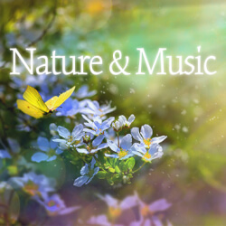 Обложка плейлиста Nature & Music