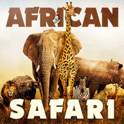 Обложка плейлиста African Safari