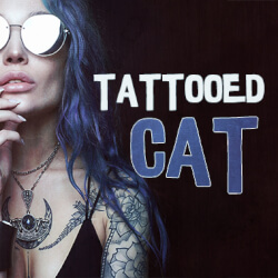 Обложка плейлиста Tattooed Cat