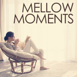 Обложка плейлиста Mellow Moments