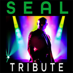 Обложка плейлиста Seal Tribute