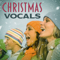 Обложка плейлиста Christmas Vocals