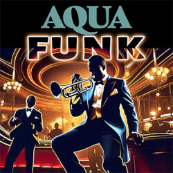 Обложка плейлиста Aqua Funk