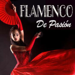 Обложка плейлиста Flamenco de Pasión